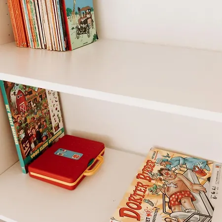 Chalet Boshuisje Noi Op De Veluwe Hattemerbroek