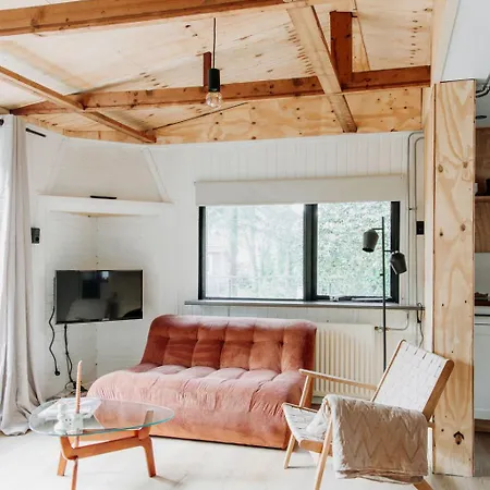 Boshuisje Noi Op De Veluwe Chalet Hattemerbroek