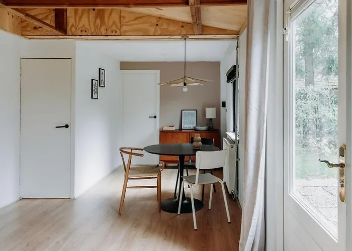 Boshuisje Noi Op De Veluwe Chalet