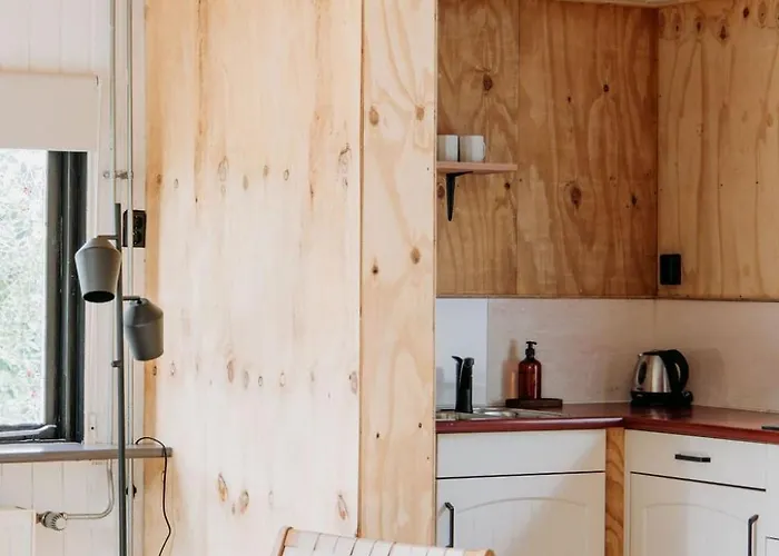 Boshuisje Noi Op De Veluwe Hattemerbroek