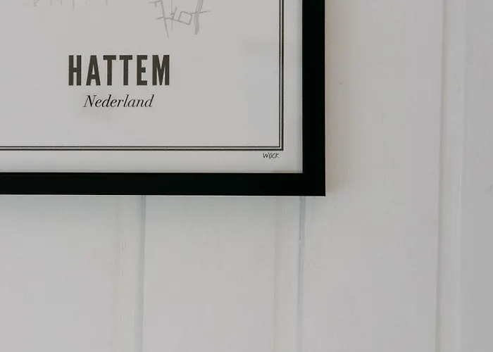 Boshuisje Noi Op De Veluwe Hattemerbroek