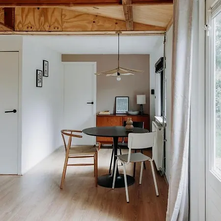 Boshuisje Noi Op De Veluwe Chalet