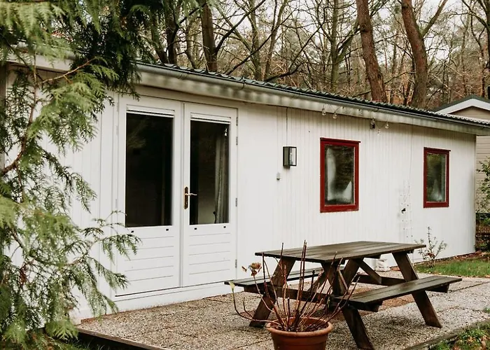 Boshuisje Noi Op De Veluwe Chalet *